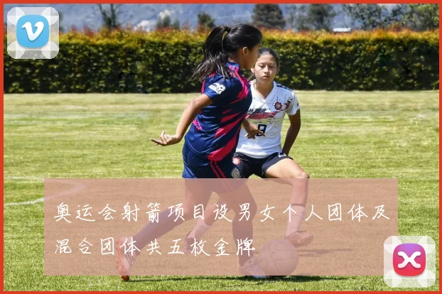 奥运会射箭项目设男女个人团体及混合团体共五枚金牌