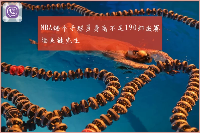 NBA矮个子球员身高不足190却成赛场关键先生