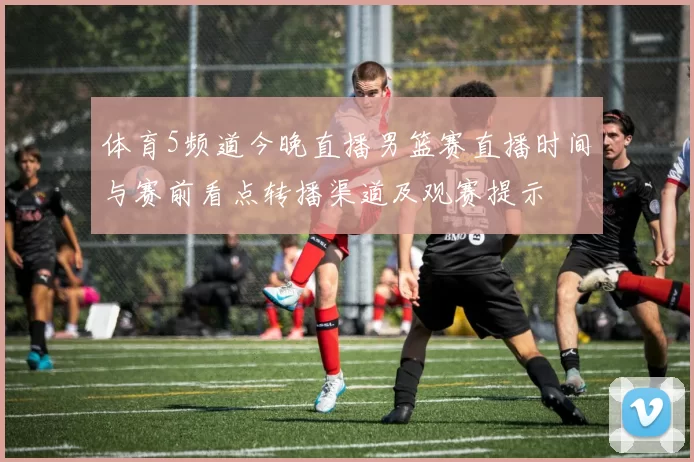 体育5频道今晚直播男篮赛直播时间与赛前看点转播渠道及观赛提示