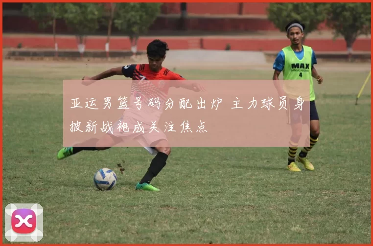 亚运男篮号码分配出炉 主力球员身披新战袍成关注焦点