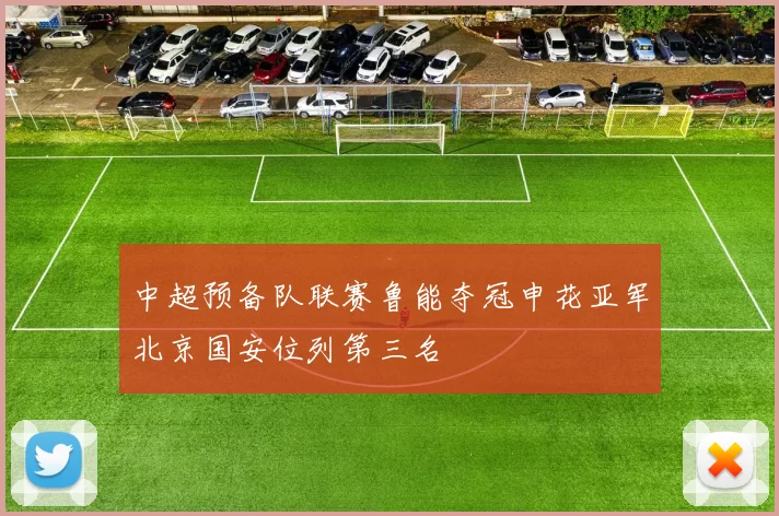 中超预备队联赛鲁能夺冠申花亚军北京国安位列第三名