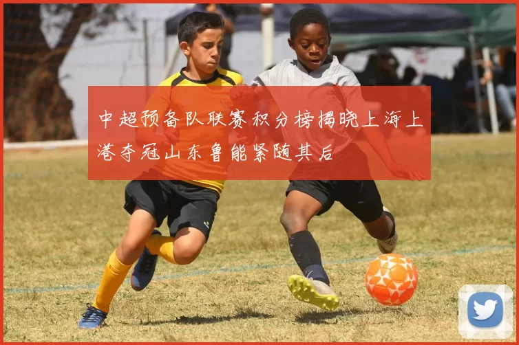中超预备队联赛积分榜揭晓上海上港夺冠山东鲁能紧随其后